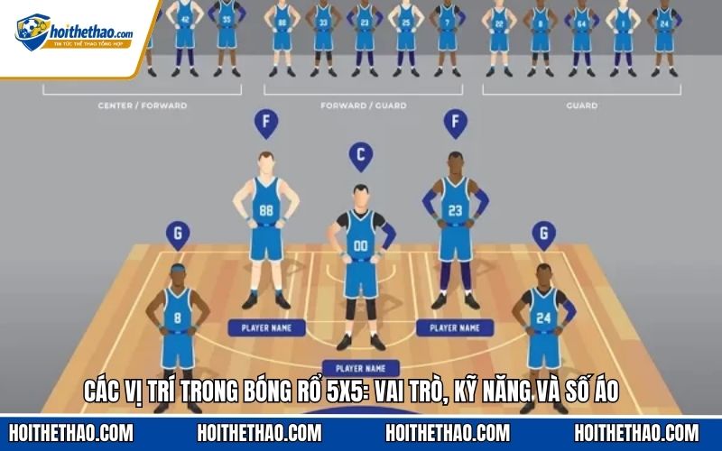 Các vị trí trong bóng rổ cùng số áo
