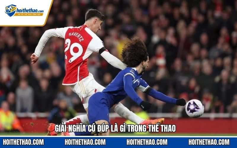 Giải nghĩa cú đúp là gì trong thể thao