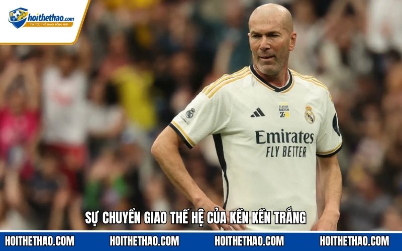 Sự chuyển giao thế hệ của kền kền trắng