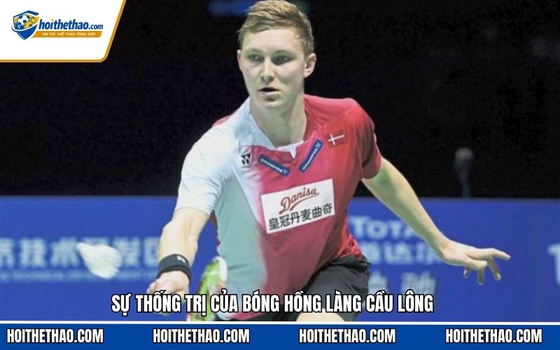 Sự thống trị của bóng hồng làng cầu lông
